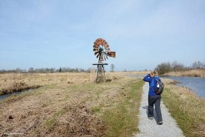 Wandelaar op een grindpad in een Nederlands polderlandschap met molen.